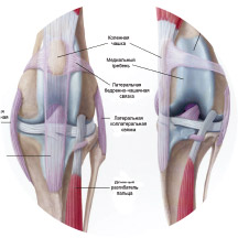 бандаж для коленного сустава