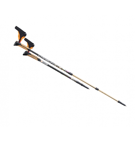 US MEDICA Carbon GTS 3-х секционные